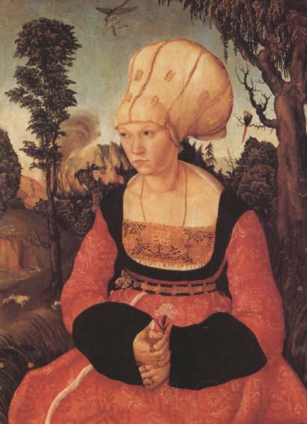 Lucas Cranach the Elder Anna Putsch,First Wife of Dr.johannes (mk45) Spain oil painting art